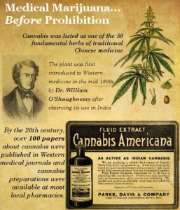 Paul Stanford's antique cannabis bottle collection - Cannabis Americana Advertisement