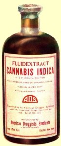 Paul Stanford's antique cannabis bottle collection - Cannabis Indica extract by American Druggists Syndicate