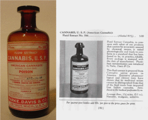 Paul Stanford's antique cannabis bottle collection - Cannabis U.S.P. by Parke, Davis & Co.